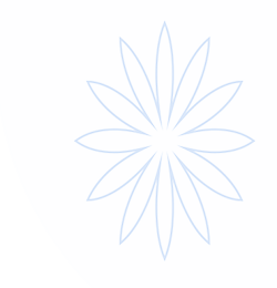 灯塔导航 | 灯塔导航在线三秒 | 秘密导航